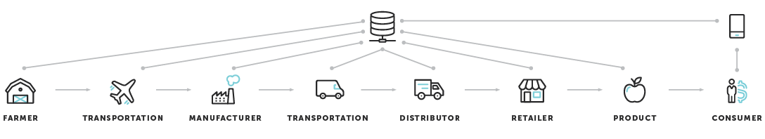 agriculture value chain